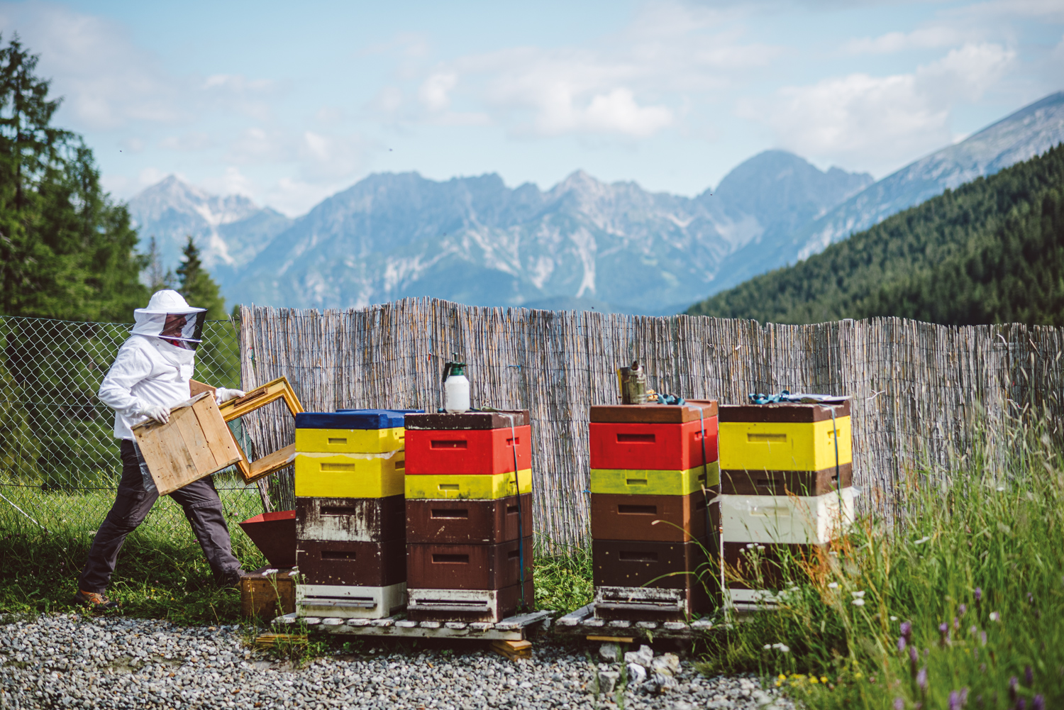 <p>Reinhard Hetzenauer bei seinen Bienenstöcken in der Axamer Lizum kurz vor der Entnahme der Honig­waben. Im Hintergrund das Karwendel.</p>
